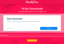 ssstiktok_ The TikTok Video Downloader That_s Loved by Millions