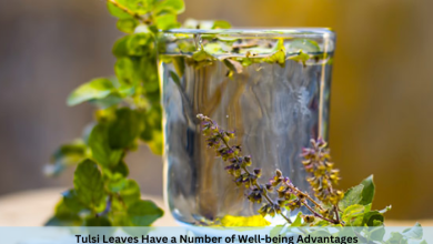Tulsi Leaves Have a Number of Well-being Advantages