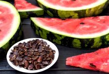 Benefits of Melon Seeds Good for Health