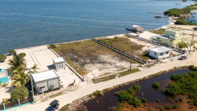 Ambergris Caye Property