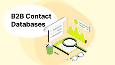 What Is a B2B Contacts Database and How Can It Benefit Your Business