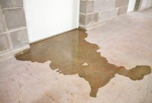 Water Damage Restoration in Camas, Washington: Your Complete Guide