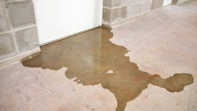 Water Damage Restoration in Camas, Washington: Your Complete Guide