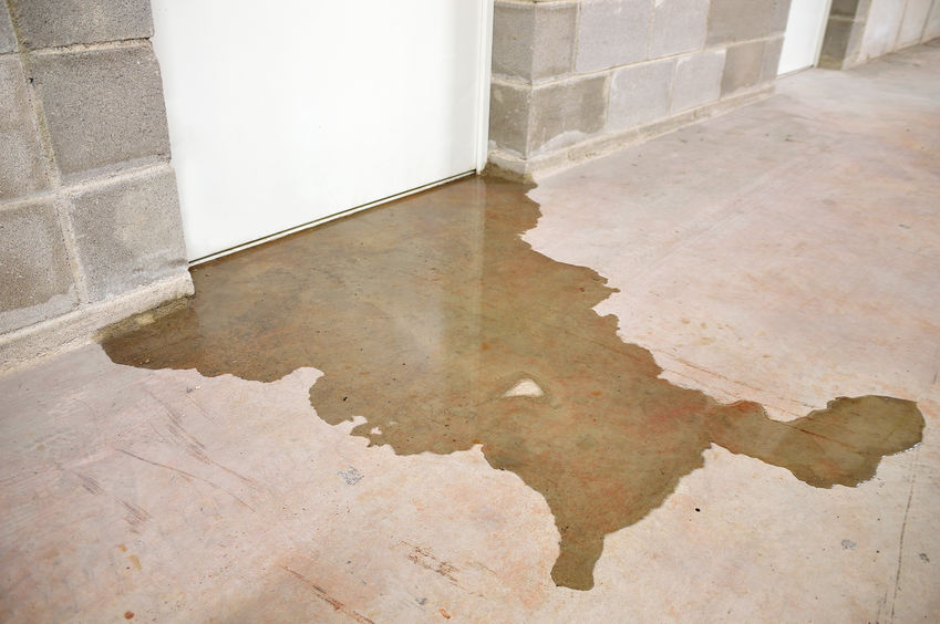 Water Damage Restoration in Camas, Washington: Your Complete Guide