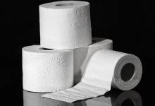 Bamboo Toilet Paper