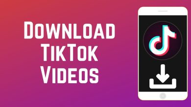 tiktok video downloader