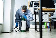 Why Professional Pest Control is Essential in Schenectady, NY