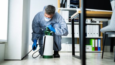 Why Professional Pest Control is Essential in Schenectady, NY