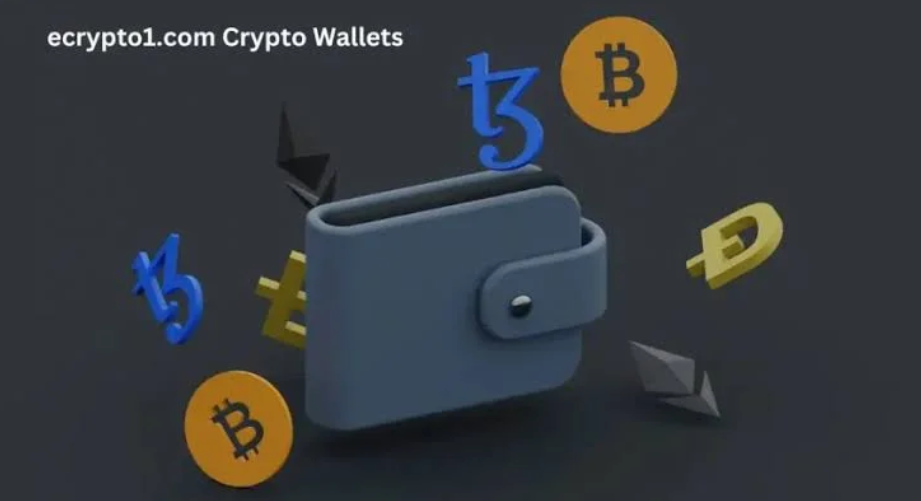 ecrypto1.com crypto wallets