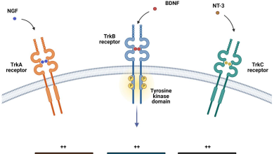 Fusion-Positive Cancers